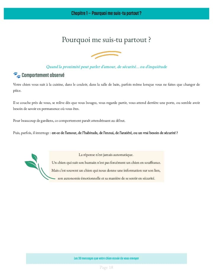 Chapitre 1 — Pourquoi me suis-tu partout ?