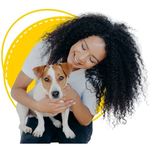Animal care